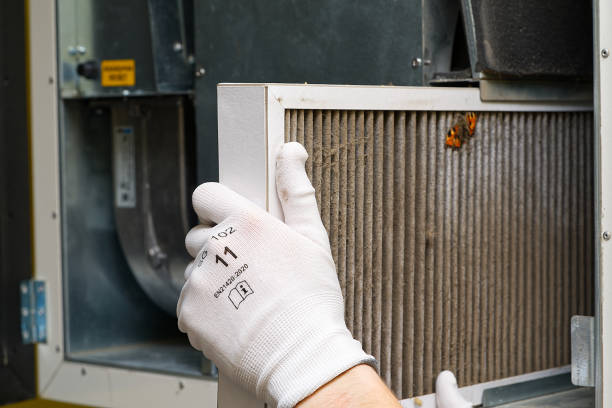 Best Affordable Air Duct Cleaning  in Fyffe, AL