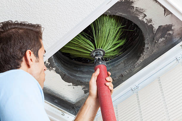 Best Professional Duct Cleaning Services  in Fyffe, AL