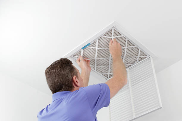 Best Ductwork Cleaning Services  in Fyffe, AL